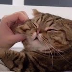 Ginny - @ginny.casey21 - Instagram