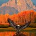 Ginny Clark - Facebook