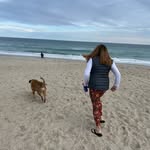 Ginny Clark - @supermomclark - Instagram
