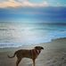 Ginny Clark - Facebook