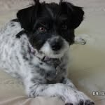 Ginny - @ginny_clark_ - Instagram