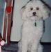 Ginny Ferguson - Facebook
