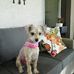 Ginny Garner - Facebook