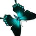 Ginny Morgan - Facebook