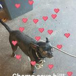 Ginny Morgan Wise - @ginnyp21 - Instagram