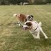 Ginny Morse - Facebook