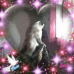 Ginny Morse - @ginny.morse.67 - Instagram