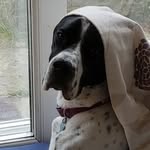 Ginny Palmer - @ginny.palmer.1000 - Instagram