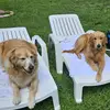 MissGinny39 - @missginnyandpalmer - TikTok