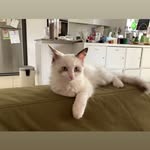 Ginny Park - @ginny_park - Instagram