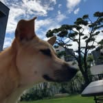 Ginny Park - @parkginny - Instagram