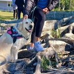 Ginny Patrick-Briggle - @patrickbriggle - Instagram