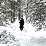 Ginny Patrick-Hval - @patrickhval - Instagram