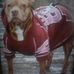 Ginny Potts - Facebook