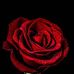 Gina Raymond - Facebook