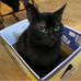 Ginny Cutler Raymond - Facebook