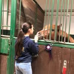 Ginevra Rossetti - @ginny_ross12 - Instagram