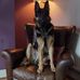 Ginny Shaw - Facebook