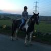 Ginny shaw - @ginnyshaw16 - TikTok