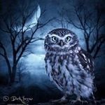 Ginny Stevenson - @gin65stev - Instagram