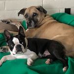 Ginny Stone - @stansginny - Instagram