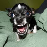 ginny! - @ginny.sullivan73 - Instagram