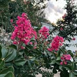 Ginny Sullivan - @sullivan.ginny - Instagram