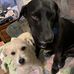 Ginny Taylor - Facebook