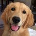 Ginny Taylor - Facebook