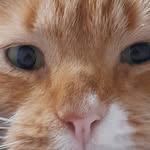 ginny elizabeth west - @ginn.ywest - Instagram