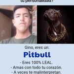 Gino Barrientos - @jubert.barrientos.1 - Instagram