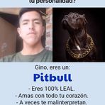 Gino Barrientos - Facebook