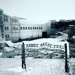 Auschwitz - @spotted_gossip_gino_zappa - Instagram