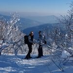 Gino Greco - @gino.greco.969 - Instagram