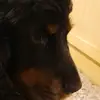 Gino Marchetti - @gino.marchetti03 - TikTok