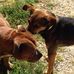 Gino y Molly Ramirez - Facebook