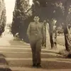 giorgiobertucci - @giorgiobertucci - TikTok