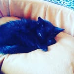 Giorgio Bianchi - @giorgio9527 - Instagram