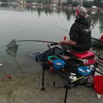 Giorgio Bianchi - @giorgionebianchi - Instagram