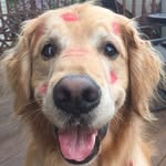 Giorgio Castaldi - @giorgio_castaldi - Instagram