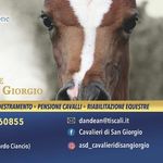 C.E. Cavalieri di San Giorgio - @asd_cavalieridisangiorgio - Instagram