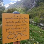 Giorgio Frasca - Facebook