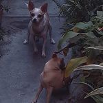 Giorgio Jiménez García - @giorgiogarcia86 - Instagram