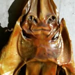Giorgio Richelli - @giorgiorichelli6 - Instagram