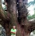 Giorgio Richelli - Facebook