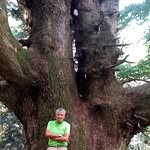 Giorgio Richelli - @richellig - Instagram