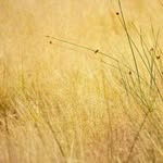 Giorgio Spataro - @giorgio_spataro - Instagram