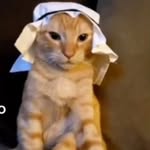 Giovani Dionicio - @giovani.dionicio - Instagram