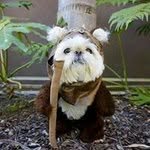 Giovani Sanchez - @giovani.sanchez.3158 - Instagram