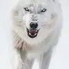 Giovanni - @giovanisanchez979 - TikTok